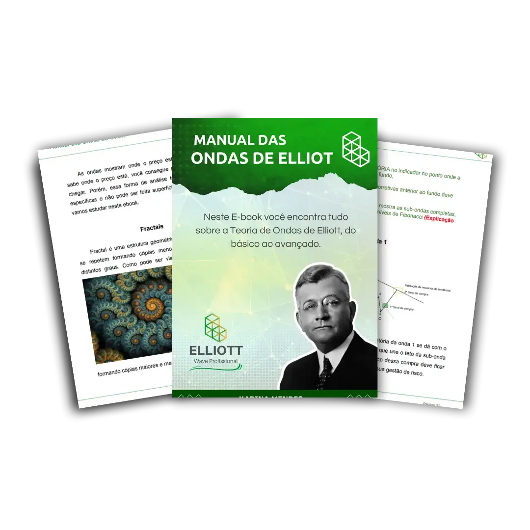 Páginas internas do ebook